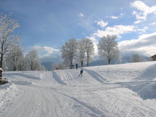 Alpenbad Aparthotel Рамзау ам Дахщайн Екстериор снимка
