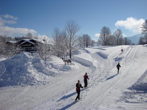Alpenbad Aparthotel Рамзау ам Дахщайн Екстериор снимка
